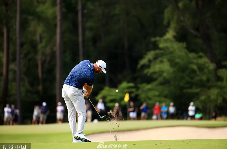 棕榈锦标赛首轮爆冷，罗奇力压群雄，约翰逊紧追其后-第3张图片-康盛风体育资讯官网 - 专业体育赛事报道与运动服饰潮流指南平台